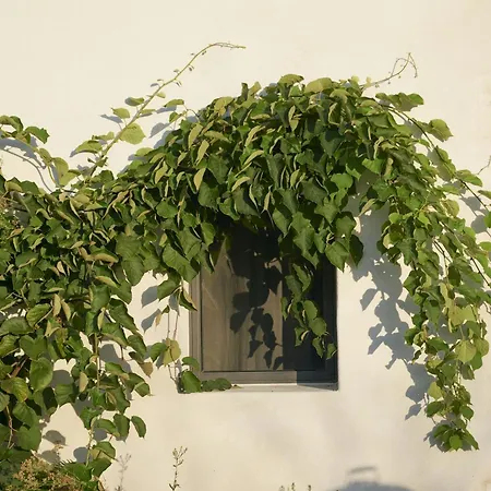 Restored Farm Near La Rochelle *