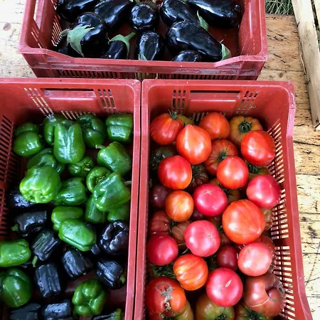 Restored Farm Near La Rochelle بيت للعطل La-Gripperie-Saint-Symphorien