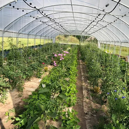 Restored Farm Near La Rochelle بيت للعطل La-Gripperie-Saint-Symphorien