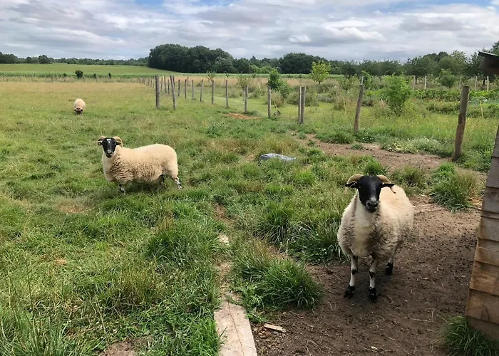 Сasa de vacaciones Restored Farm Near La Rochelle *