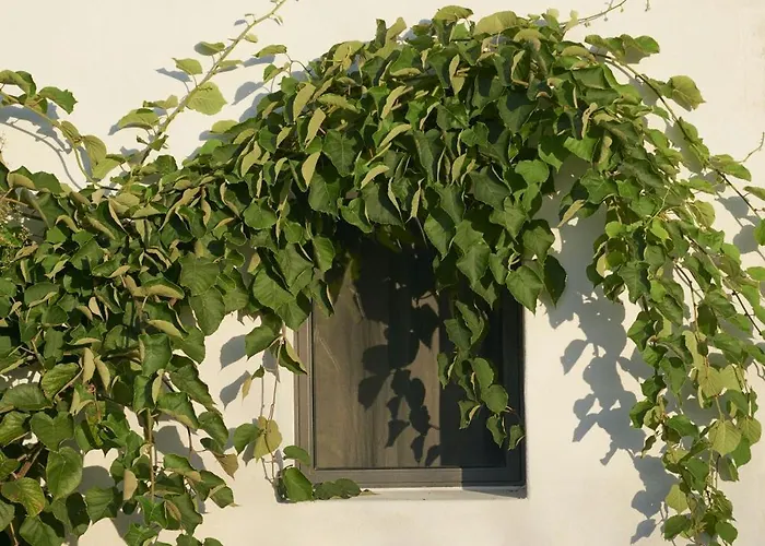 Restored Farm Near La Rochelle *