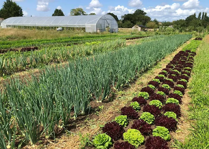 Restored Farm Near La Rochelle * La-Gripperie-Saint-Symphorien
