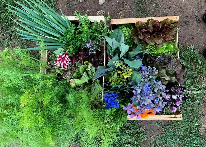 Restored Farm Near La Rochelle * La-Gripperie-Saint-Symphorien