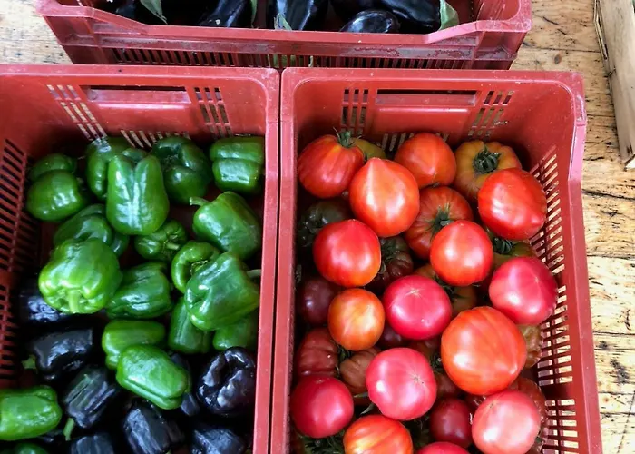 Restored Farm Near La Rochelle Сasa de vacaciones La-Gripperie-Saint-Symphorien