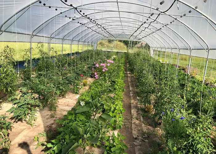 Restored Farm Near La Rochelle Сasa de vacaciones La-Gripperie-Saint-Symphorien